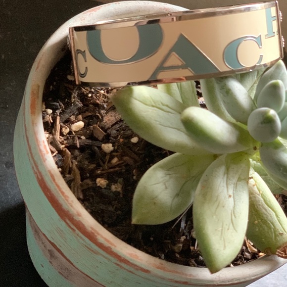 Coach Bracelet - Picture 3 of 4